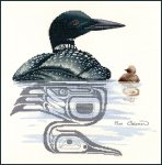 (image for) Loon And Chick